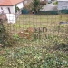 IMG-20240317-WA0016.jpeg