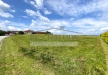 IMG_2189.jpeg