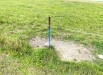 IMG_2192.jpeg