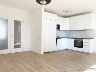 Pronjem bytu 3+kk, 80 m2, OV, Praha 3, ikov, ul. Olgy Havlov