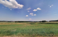 Prodej pozemku 195 306 m2, zemdlsk pda, Stelsk Hotice, Kozlov (okres Strakonice)
