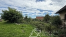 IMG_7340.jpg