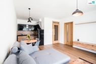 Pronjem bytu 2+kk, 46 m2, OV, Plze, Vchodn Pedmst (okres Plze-msto), ul. Pallova