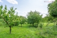 _LN_0919-HDR.jpg