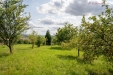 _LN_0957-HDR.jpg