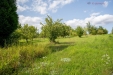 _LN_0948-HDR.jpg