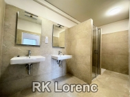 Pronjem bytu 7+1, 150 m2, OV, Brno, Trnit (okres Brno-msto), ul. pitlka - exkluzivn