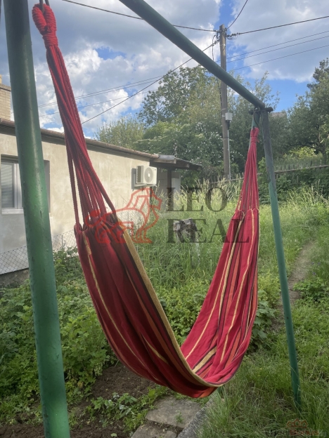 IMG_4314.jpeg