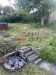 IMG_4419.jpeg