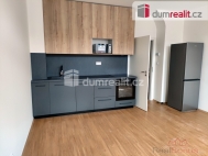 Pronjem bytu 1+kk, 27 m2, OV, Perov, Perov I-Msto, ul. echova
