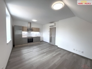 Pronjem bytu 2+kk, 48 m2, OV, Msto Toukov (okres Plze-sever), ul. emnsk