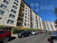 Pronjem bytu 2+kk, 42 m2, OV, Dn, Dn II-Nov Msto, ul. Dvokova - exkluzivn