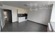 Pronjem bytu 1+kk, 20 m2, OV, ternberk (okres Olomouc), ul. nmst Svobody