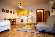 Pronjem bytu 1+kk, 41 m2, OV, Brno, tice (okres Brno-msto), ul. Vdesk