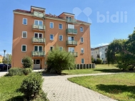 Pronjem bytu 2+1, 41 m2, OV, esk Budjovice, esk Budjovice 2, ul. Dubensk