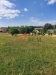 20250827_153811.jpg