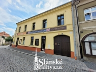 Pronjem obchodnch prostor, Slan (okres Kladno)