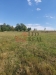 20250827_153727.jpg