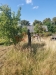 20250827_153918.jpg