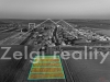 cary_01.jpg