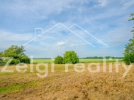 Prodej pozemku , zemdlsk pda, Dyjkovice (okres Znojmo)
