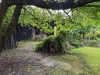IMG-20250904-WA0076.jpg