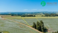 Prodej pozemku 40 000 m2, zemdlsk pda, Prosen (okres Trutnov)