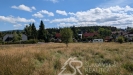 PXL_20250908_102945571.MP.jpg