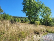 Prodej pozemku , zahrada, Vclavov u Bruntlu (okres Bruntl)