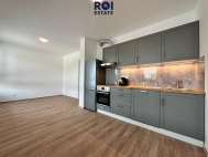 Pronjem bytu 1+kk, 33 m2, OV, Kuim (okres Brno-venkov), ul. Pazourkov