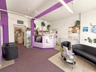 Pronjem obchodnch prostor, esk Budjovice, esk Budjovice 6