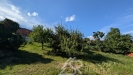 PXL_20250908_130341513.MP.jpg