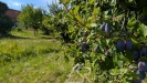 PXL_20250908_131421775.MP.jpg