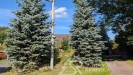 PXL_20250908_133515402.MP.jpg