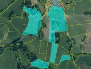 Prodej pozemku , zemdlsk pda, Kolinec, Sluhov (okres Klatovy)