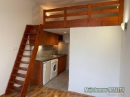 Pronjem bytu 1+kk, 18 m2, OV, Praha 9, Vysoany, ul. Freyova