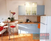 Pronjem bytu 1+kk, 42 m2, DV, Praha 6, Bubene, ul. Jilemnickho