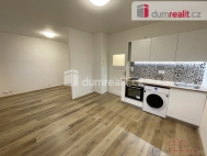 Pronjem bytu 1+kk, 30 m2, OV, Praha 4, Nusle, ul. U Svpomoci