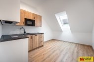Pronjem bytu 1+kk, 49 m2, OV, Brno, Husovice (okres Brno-msto)