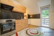 Pronjem bytu 1+kk, 0 m2, OV, Lipov-lzn (okres Jesenk)