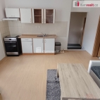Pronjem bytu 1+1, 44 m2, OV, Dn, Dn X-Bl, ul. Sask