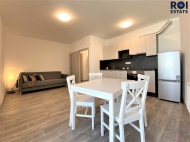 Pronjem bytu 2+kk, 50 m2, OV, Brno, Star Lskovec (okres Brno-msto), ul. Ton
