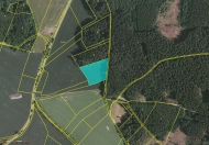Prodej pozemku 23 308 m2, zemdlsk pda, erven jezd, Tetuel (okres Beneov)
