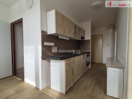 Pronjem bytu 2+1, 60 m2, OV, esk Krumlov, Ndran Pedmst, ul. eleznin