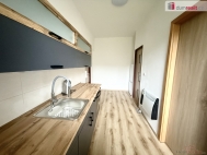 Pronjem bytu 2+1, 65 m2, OV, Dn, Dn IX-Bynov, ul. Teplick