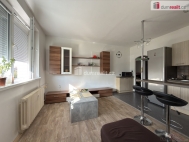 Pronjem bytu 2+kk, 40 m2, OV, st nad Labem, Severn Terasa, ul. Jekova
