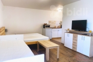 Pronjem bytu 1+kk, 22 m2, OV, Zl (okres Tbor)