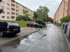 IMG_2500.jpeg