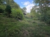 20251002_144946.jpg