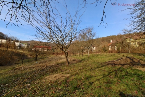 b3.JPG